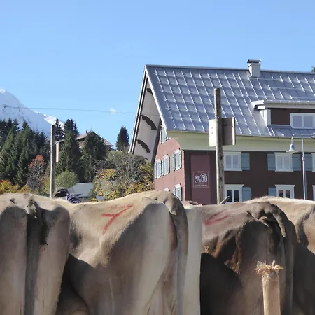 Haus No 60 Kleinwalsertal Hirschegg (Vorarlberg)